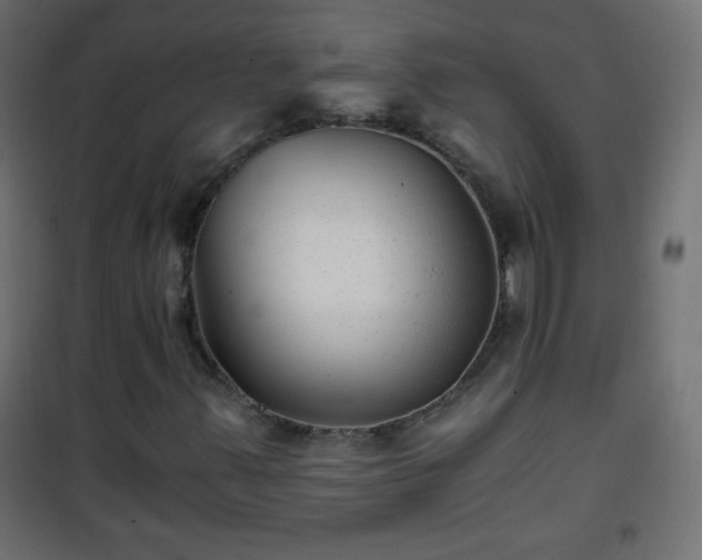 X0000101431347200807141231