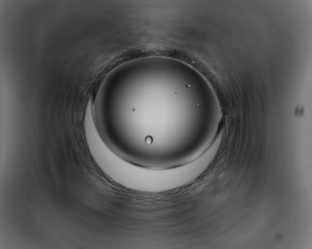 X0000101431348200807141231