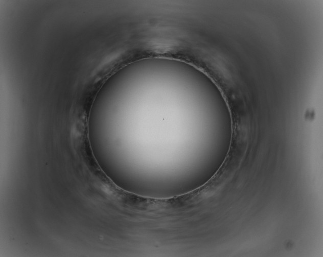 X0000101431349200807141231