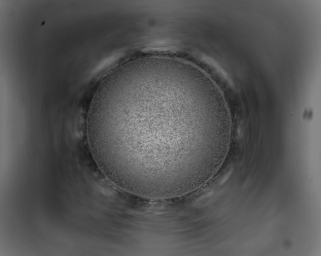 X0000101431350200807141231