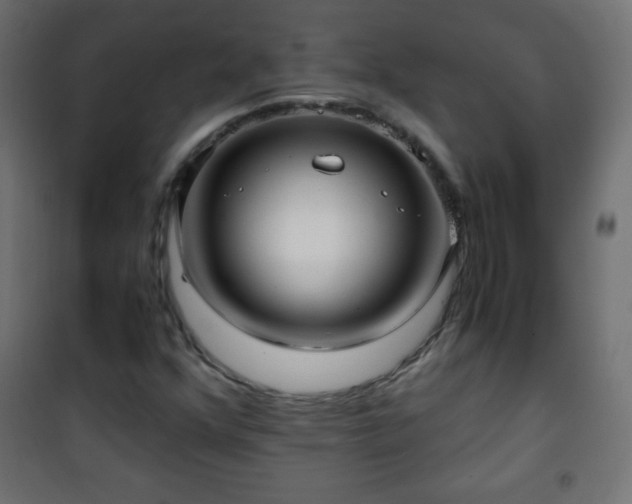 X0000101431352200807141231