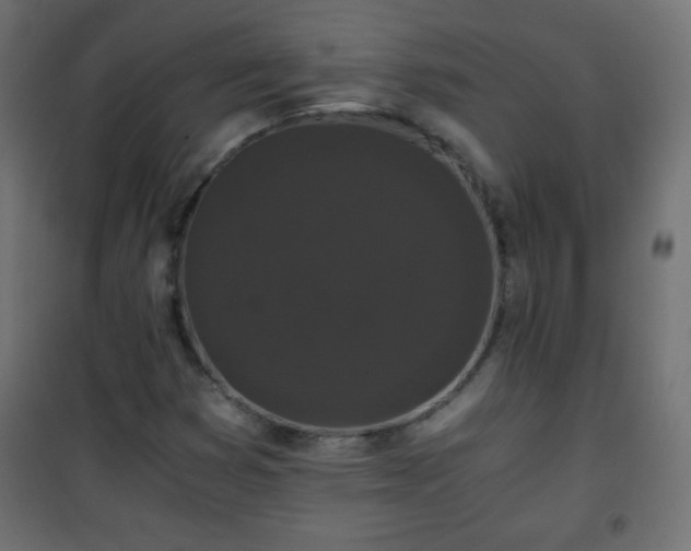 X0000101431353200807141231