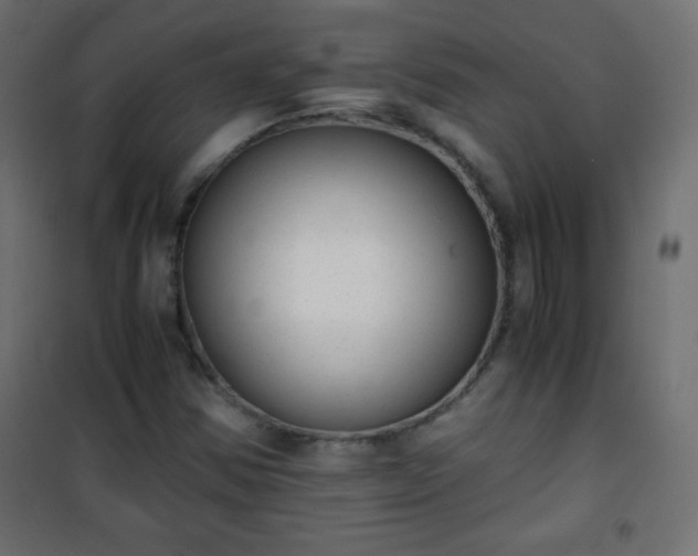 X0000101431354200807141231