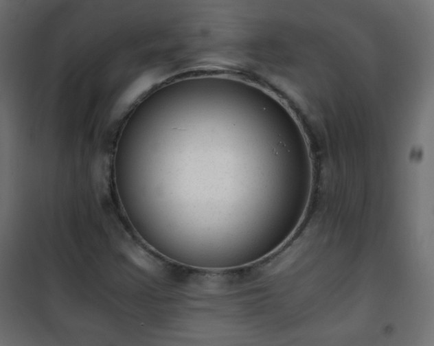 X0000101431355200807141231