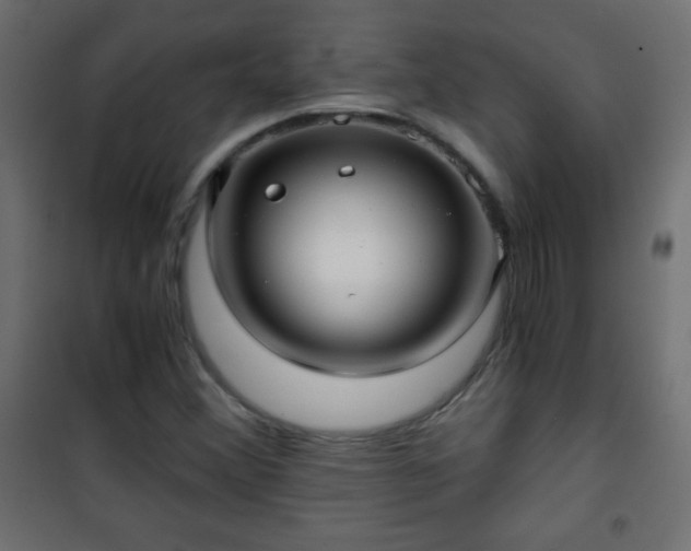 X0000101431356200807141231