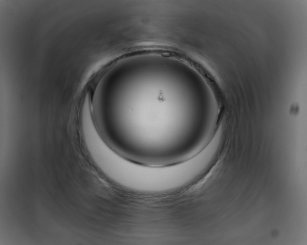X0000101431357200807141231