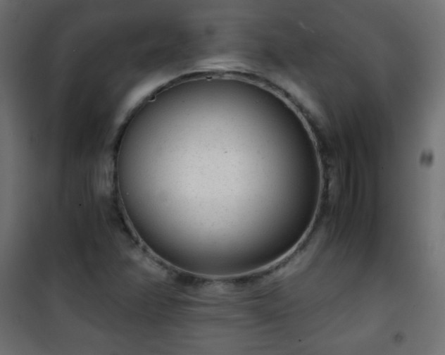 X0000101431358200807141231