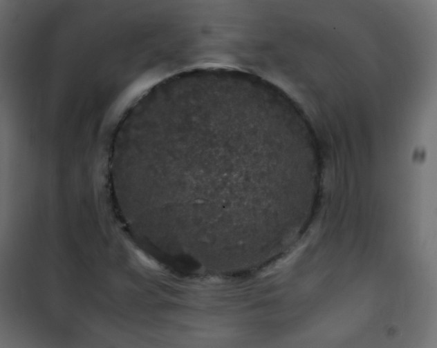 X0000101431359200807141231
