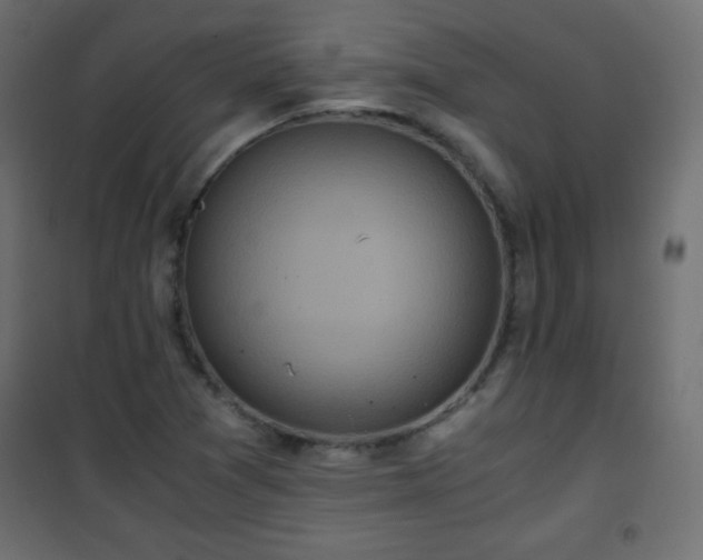 X0000101431361200807141231