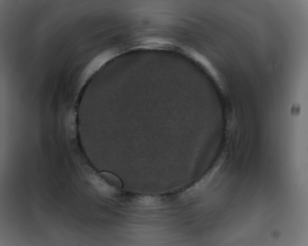 X0000101431362200807141231