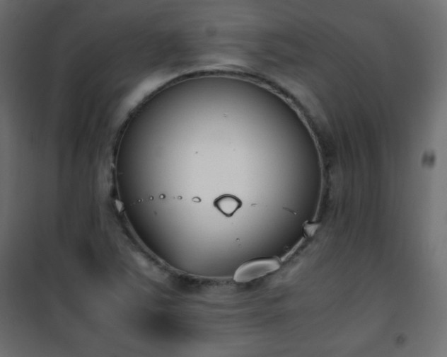 X0000101431363200807141231