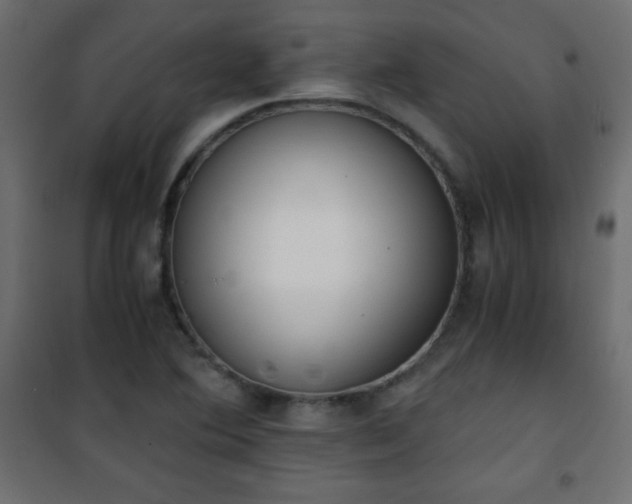 X0000101431364200807141231