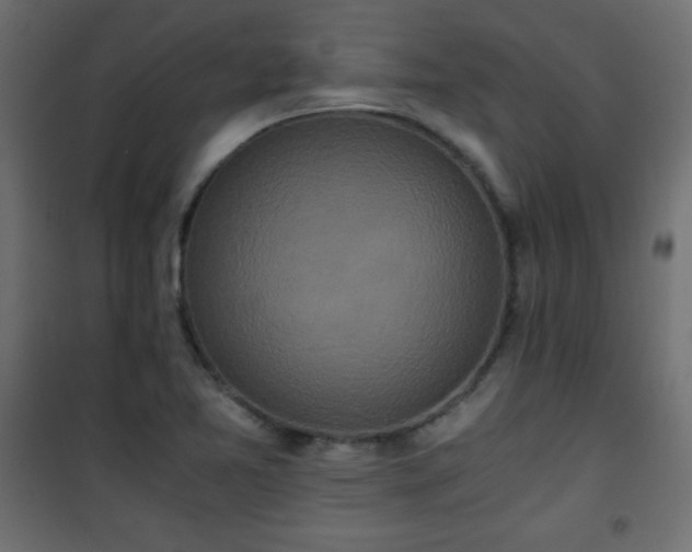 X0000101431365200807141231