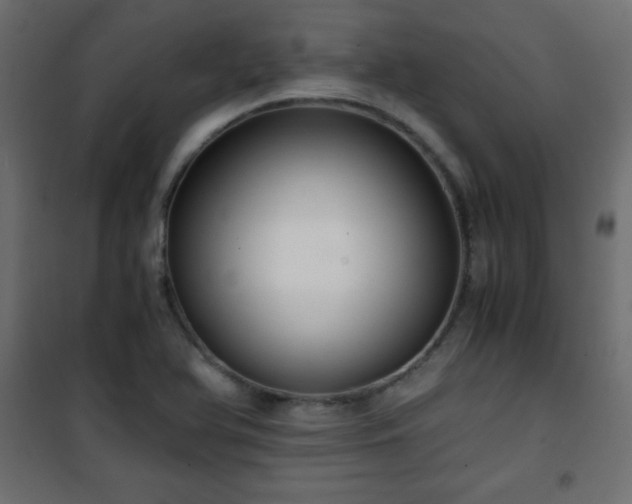 X0000101431366200807141231