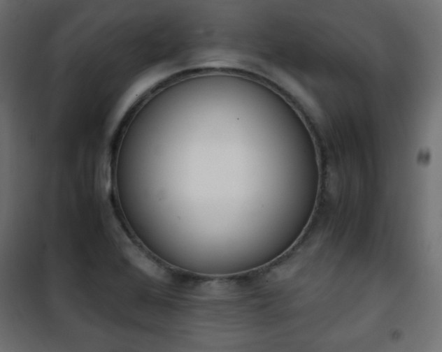 X0000101431368200807141231