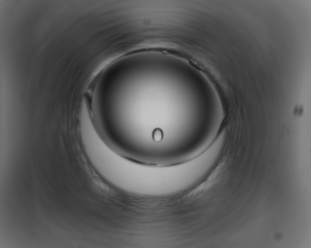 X0000101431369200807141231