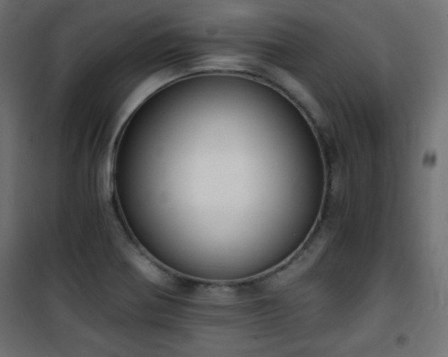 X0000101431370200807141231