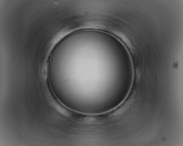 X0000101431371200807141231