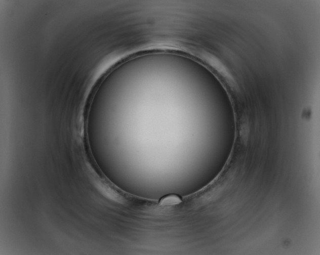 X0000101431372200807141231