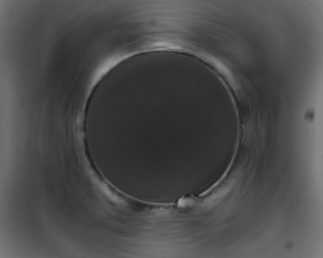 X0000101431373200807141231