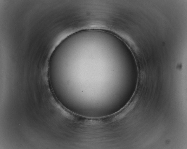 X0000101431374200807141231