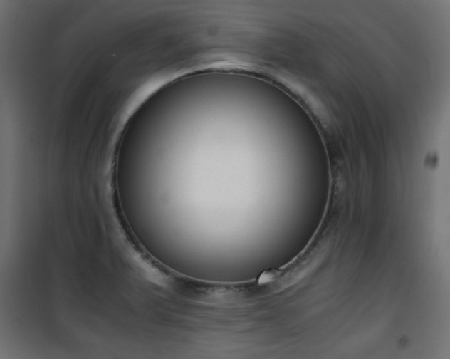 X0000101431375200807141231