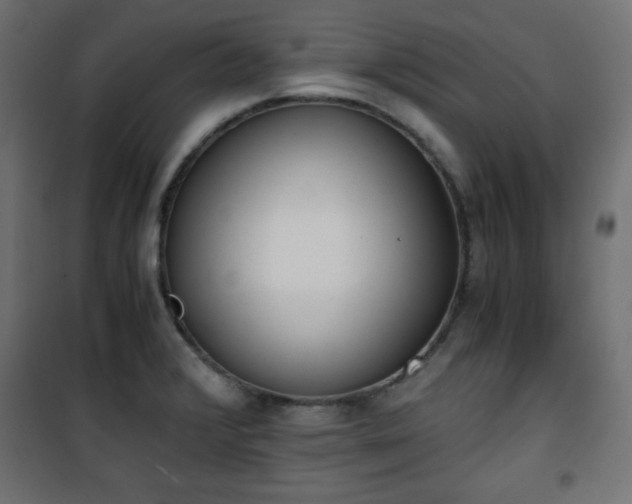 X0000101431376200807141231
