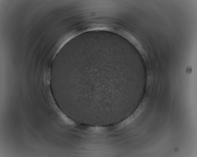 X0000101431377200807141231