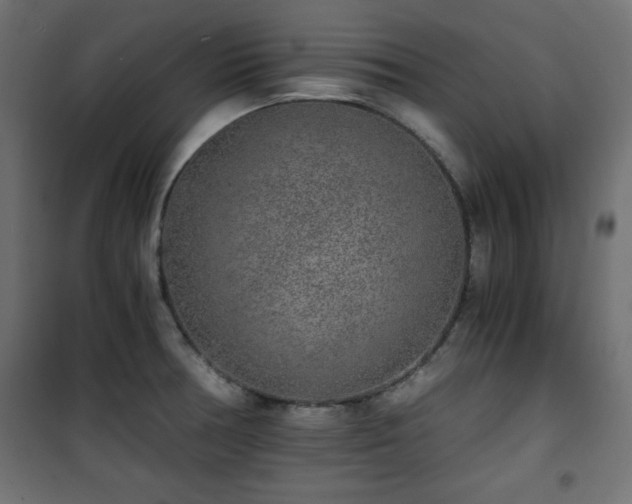 X0000101431378200807141231