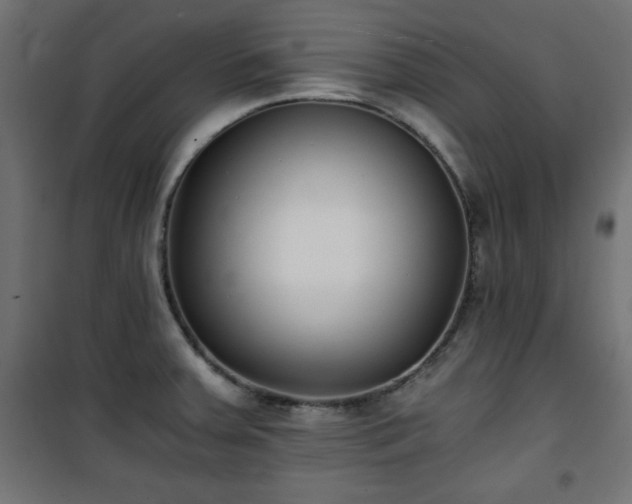 X0000101431379200807141231