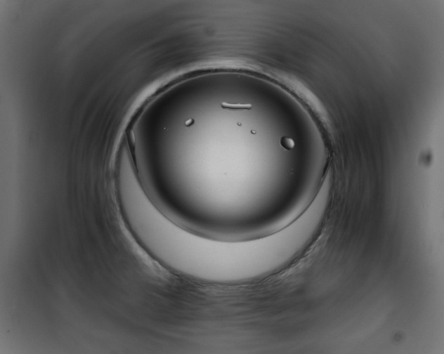 X0000101431380200807141231