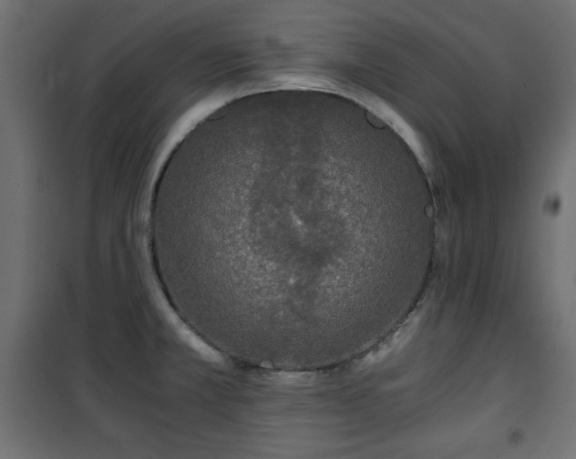 X0000101431381200807141231