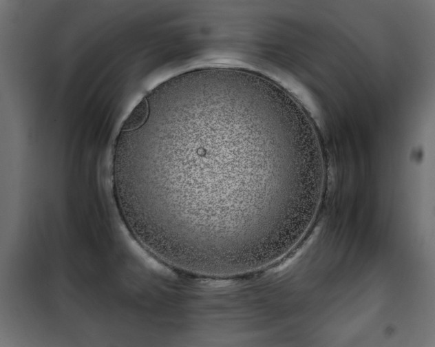 X0000101431382200807141231