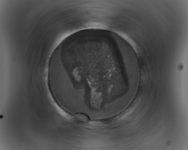 X0000101431383200807141231