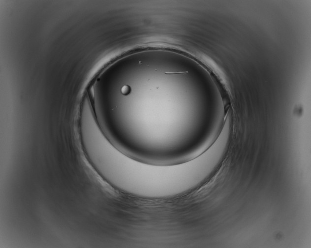 X0000101431384200807141231