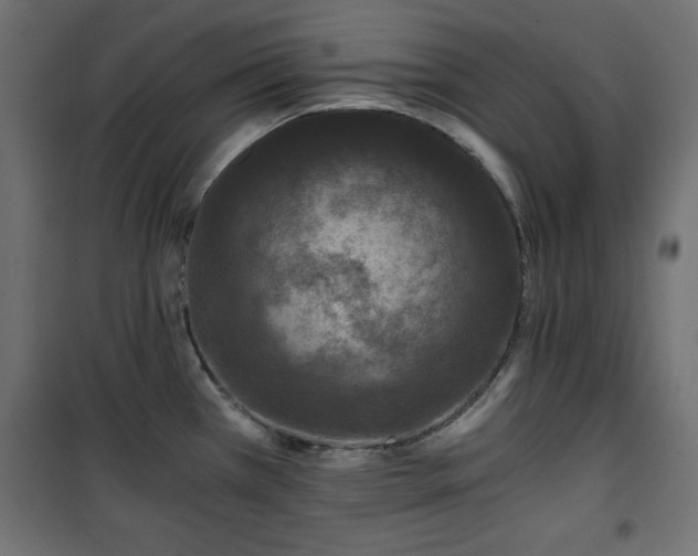 X0000101431385200807141231