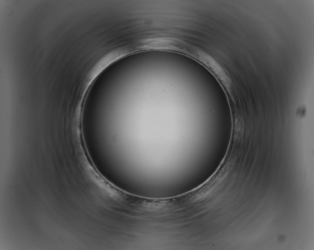 X0000101431386200807141231