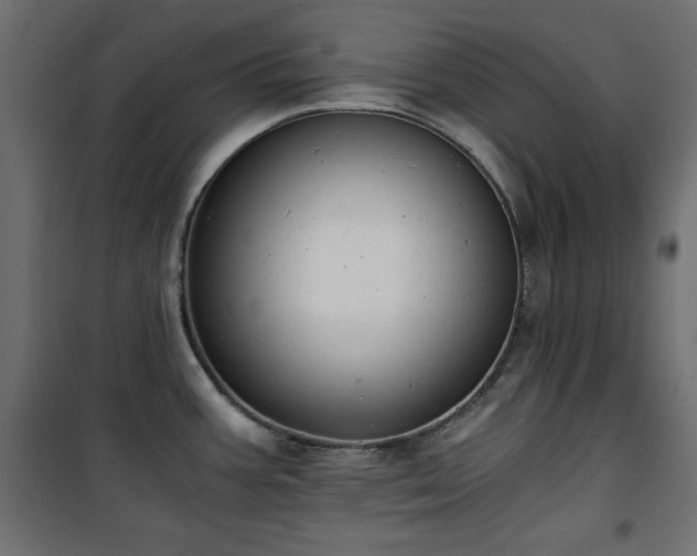 X0000101431387200807141231