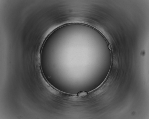 X0000101431388200807141231