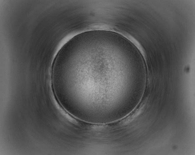 X0000101431389200807141231