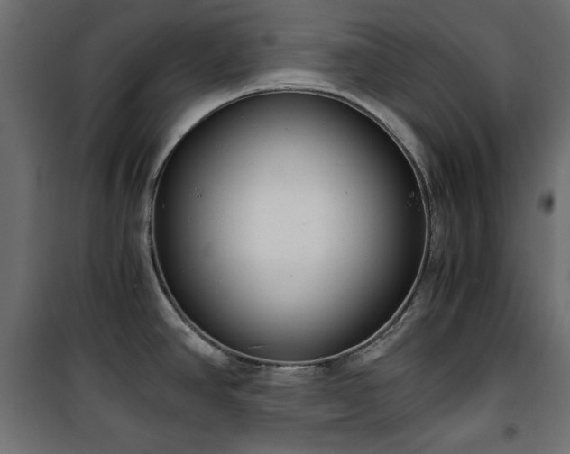 X0000101431390200807141231