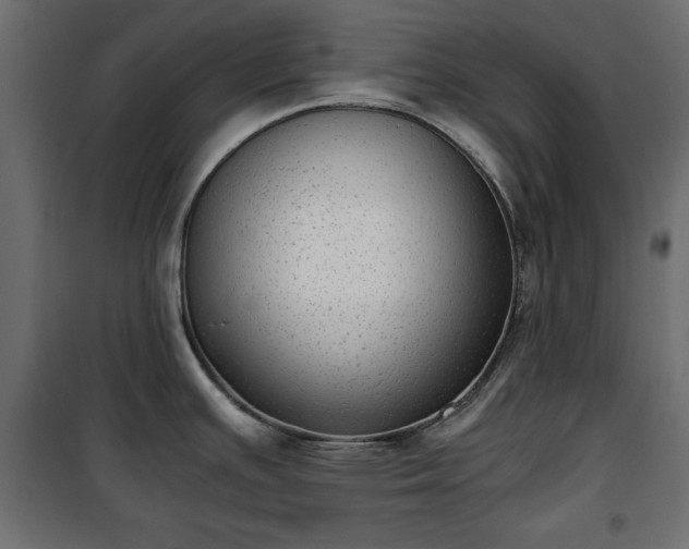 X0000101431391200807141231