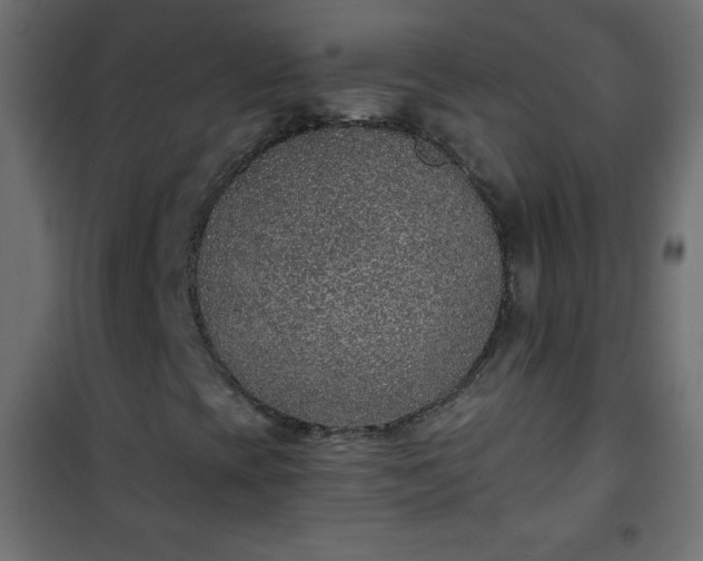 X0000101431393200807141230