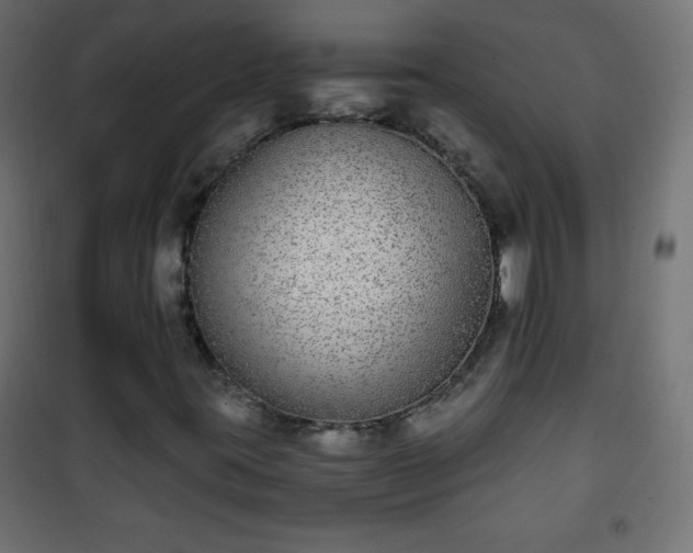 X0000101431395200807141230