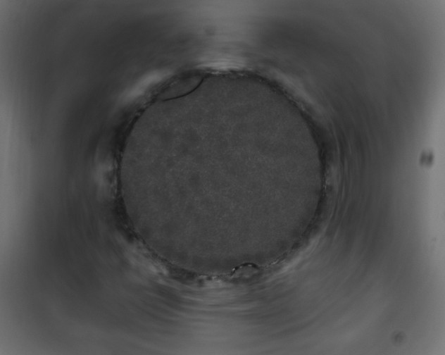 X0000101431398200807141230