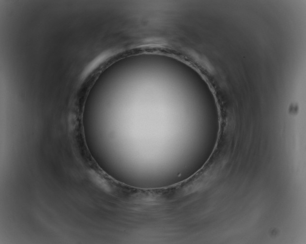 X0000101431400200807141230