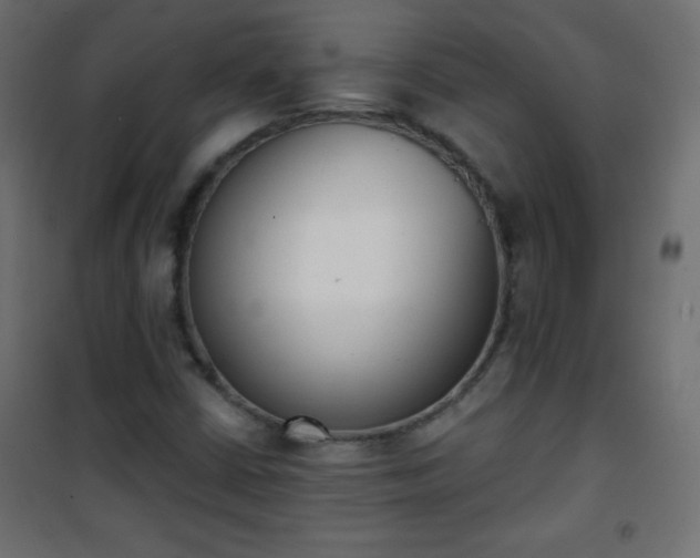 X0000101431402200807141230