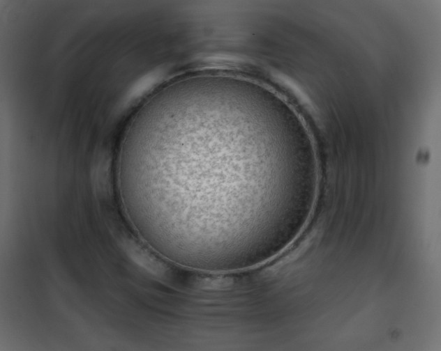 X0000101431403200807141230