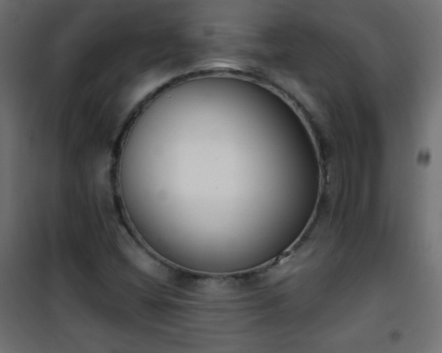 X0000101431404200807141230