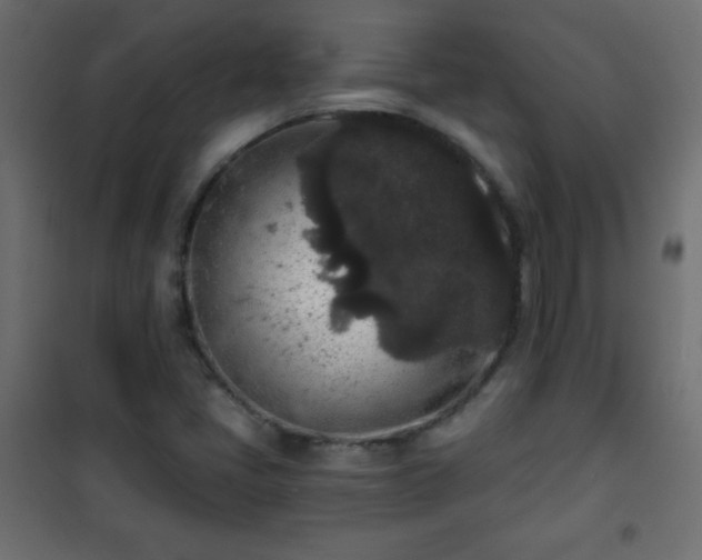 X0000101431405200807141230